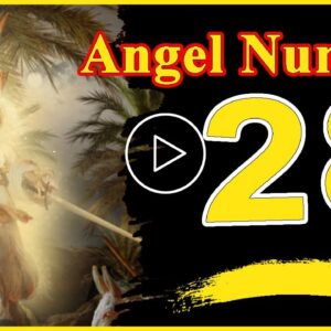 Angel Number 28 Spiritual And sybolism Numerology | Numerologybox
