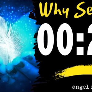 Angel Number 0022 spiritual and sybolism | The reason Why are You Seeing 0022?