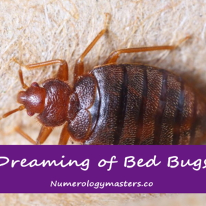 dream about bed bugs meaning and interpretation
