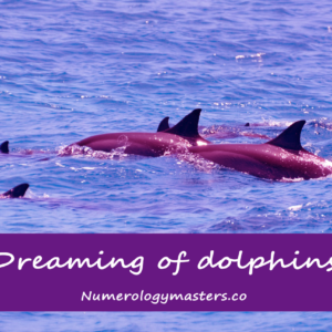 dreaming of dolphins meaning symbolism and interpretation
