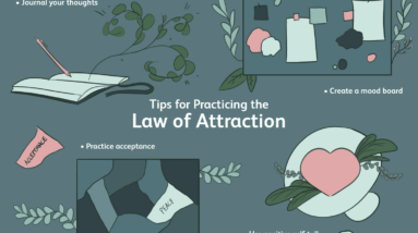addressing james janis attacks on the law of attraction